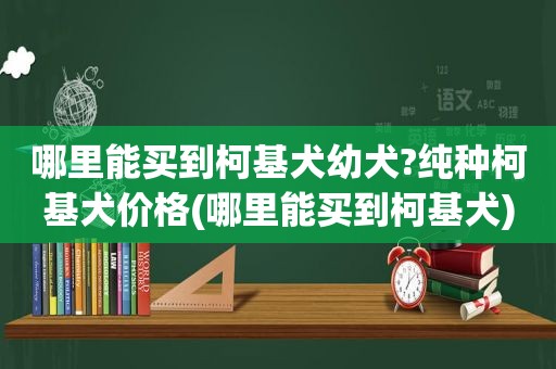 哪里能买到柯基犬幼犬?纯种柯基犬价格(哪里能买到柯基犬)