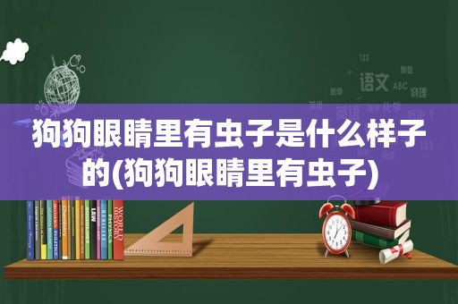 狗狗眼睛里有虫子是什么样子的(狗狗眼睛里有虫子)