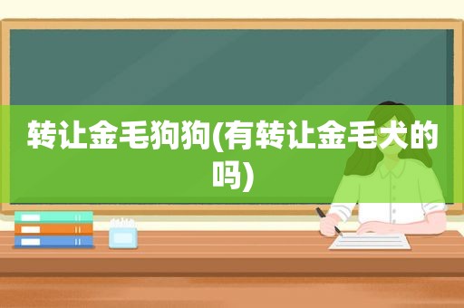 转让金毛狗狗(有转让金毛犬的吗)