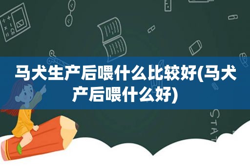 马犬生产后喂什么比较好(马犬产后喂什么好)