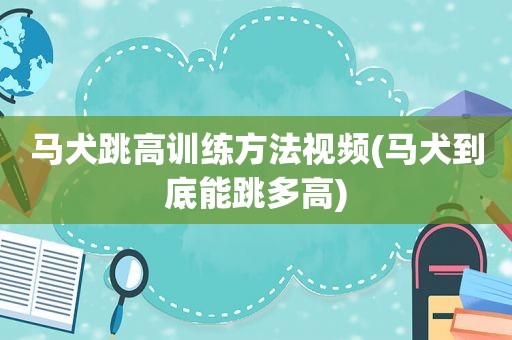 马犬跳高训练方法视频(马犬到底能跳多高)