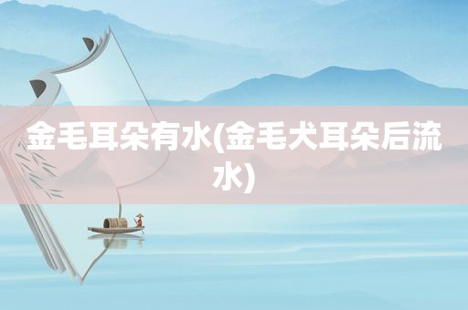 金毛耳朵有水(金毛犬耳朵后流水)