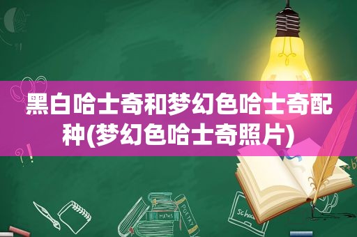 黑白哈士奇和梦幻色哈士奇配种(梦幻色哈士奇照片)