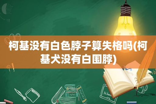 柯基没有白色脖子算失格吗(柯基犬没有白围脖)