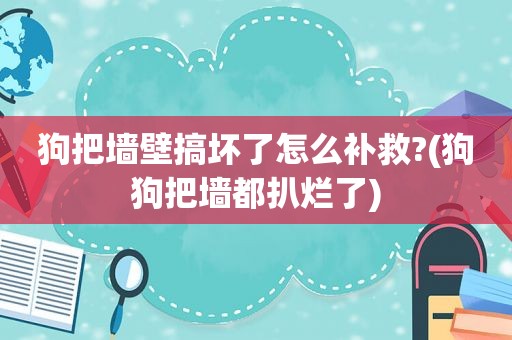 狗把墙壁搞坏了怎么补救?(狗狗把墙都扒烂了)