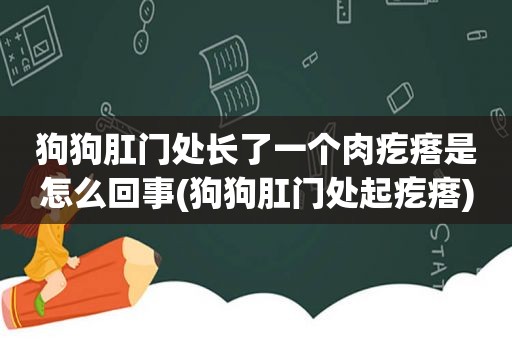 狗狗 *** 处长了一个肉疙瘩是怎么回事(狗狗 *** 处起疙瘩)