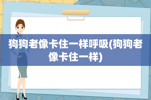 狗狗老像卡住一样呼吸(狗狗老像卡住一样)