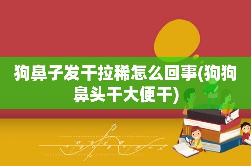 狗鼻子发干拉稀怎么回事(狗狗鼻头干大便干)