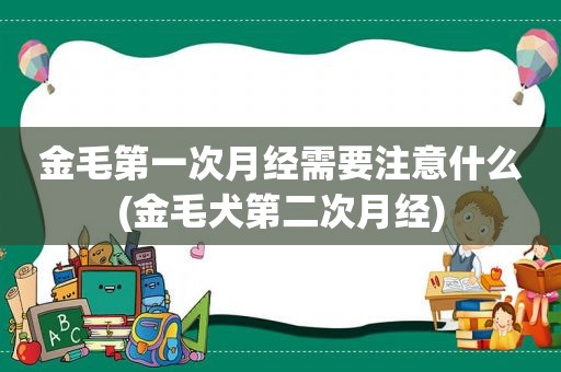 金毛第一次月经需要注意什么(金毛犬第二次月经)