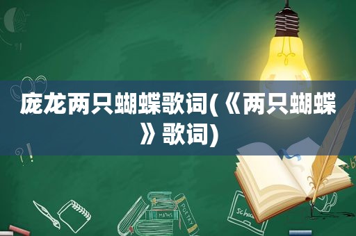 庞龙两只蝴蝶歌词(《两只蝴蝶》歌词)