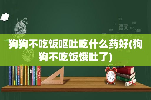 狗狗不吃饭呕吐吃什么药好(狗狗不吃饭饿吐了)