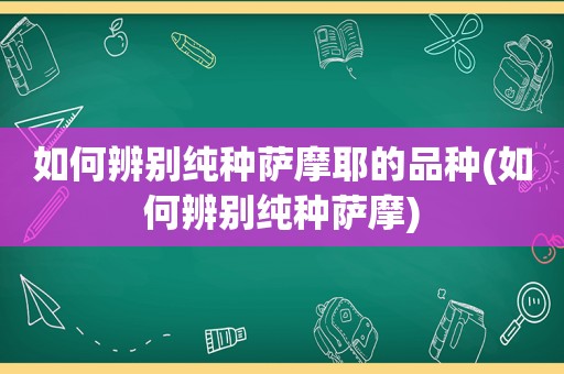 如何辨别纯种萨摩耶的品种(如何辨别纯种萨摩)