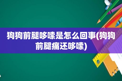 狗狗前腿哆嗦是怎么回事(狗狗前腿痛还哆嗦)