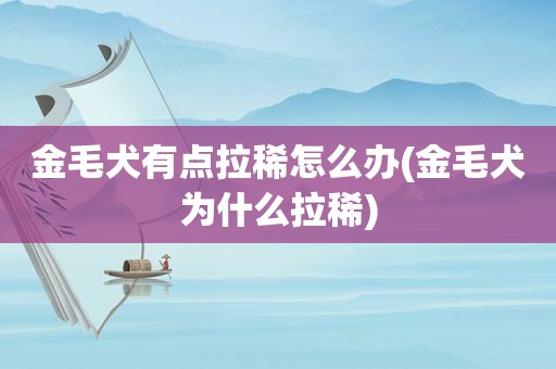 金毛犬有点拉稀怎么办(金毛犬为什么拉稀)