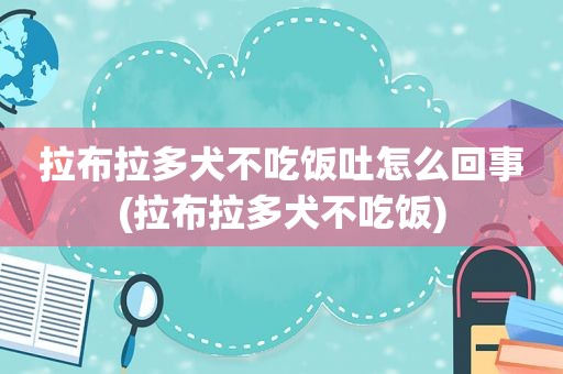 拉布拉多犬不吃饭吐怎么回事(拉布拉多犬不吃饭)