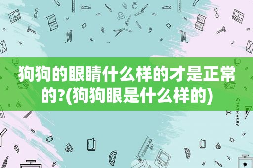 狗狗的眼睛什么样的才是正常的?(狗狗眼是什么样的)