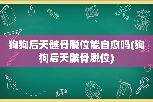 狗狗后天髌骨脱位能自愈吗(狗狗后天髌骨脱位)