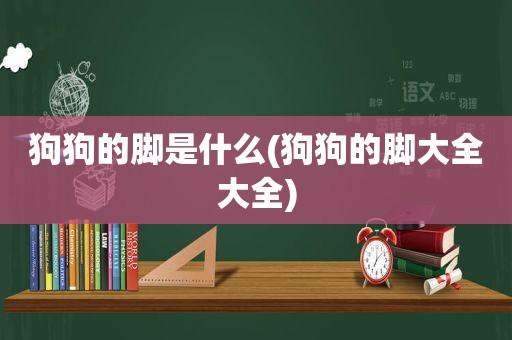 狗狗的脚是什么(狗狗的脚大全大全)