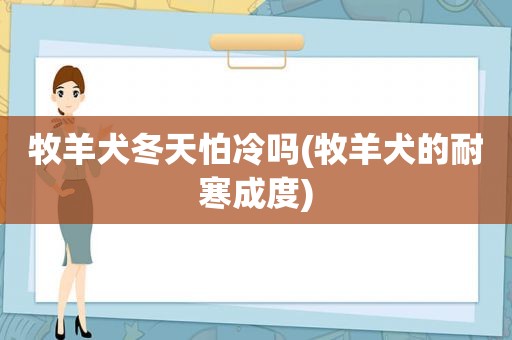 牧羊犬冬天怕冷吗(牧羊犬的耐寒成度)