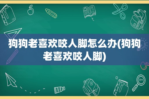 狗狗老喜欢咬人脚怎么办(狗狗老喜欢咬人脚)