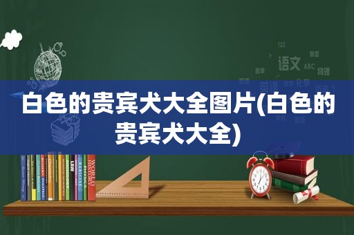 白色的贵宾犬大全图片(白色的贵宾犬大全)