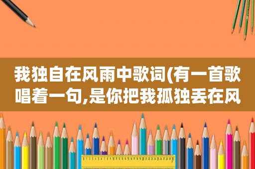 我独自在风雨中歌词(有一首歌唱着一句,是你把我孤独丢在风雨里,是女的唱的,是什么歌名)