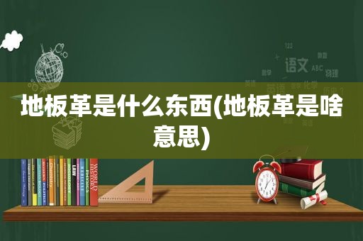 地板革是什么东西(地板革是啥意思)