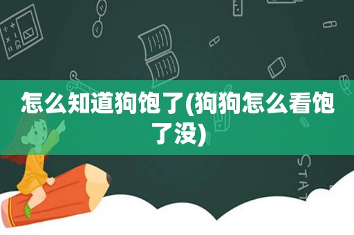 怎么知道狗饱了(狗狗怎么看饱了没)