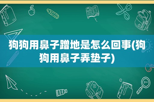 狗狗用鼻子蹭地是怎么回事(狗狗用鼻子弄垫子)