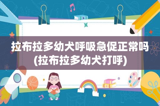 拉布拉多幼犬呼吸急促正常吗(拉布拉多幼犬打呼)