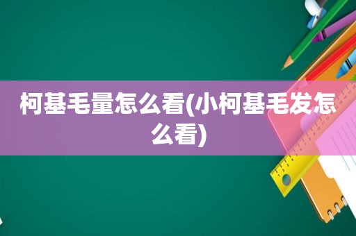 柯基毛量怎么看(小柯基毛发怎么看)