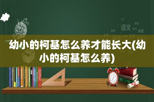 幼小的柯基怎么养才能长大(幼小的柯基怎么养)