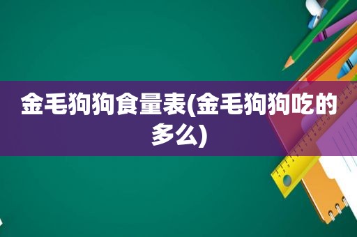 金毛狗狗食量表(金毛狗狗吃的多么)