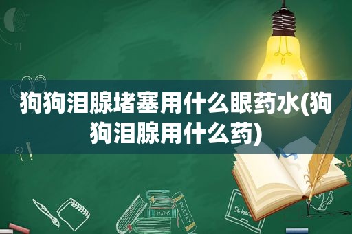 狗狗泪腺堵塞用什么眼药水(狗狗泪腺用什么药)