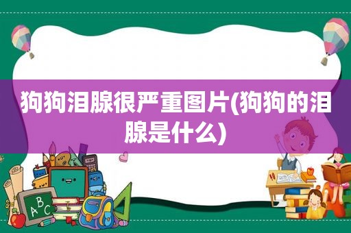 狗狗泪腺很严重图片(狗狗的泪腺是什么)