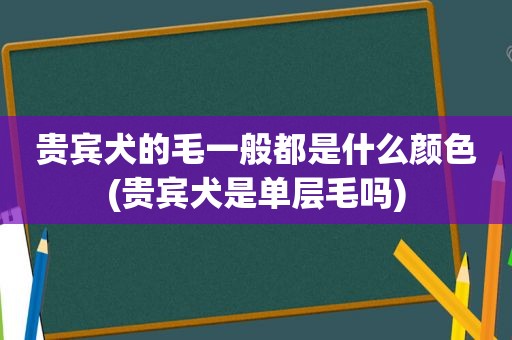 贵宾犬的毛一般都是什么颜色(贵宾犬是单层毛吗)