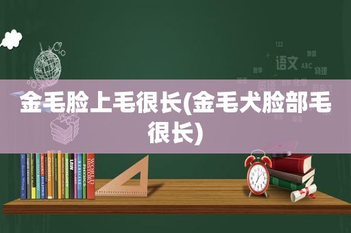 金毛脸上毛很长(金毛犬脸部毛很长)