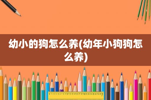 幼小的狗怎么养(幼年小狗狗怎么养)