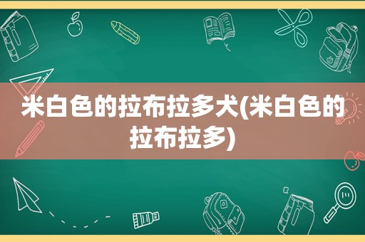 米白色的拉布拉多犬(米白色的拉布拉多)