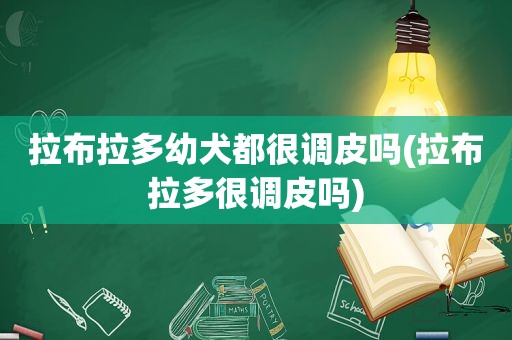 拉布拉多幼犬都很调皮吗(拉布拉多很调皮吗)