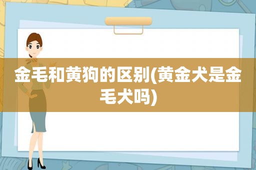 金毛和黄狗的区别(黄金犬是金毛犬吗)