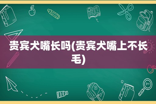 贵宾犬嘴长吗(贵宾犬嘴上不长毛)