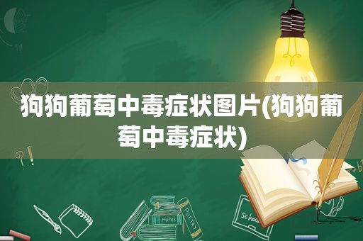 狗狗葡萄中毒症状图片(狗狗葡萄中毒症状)