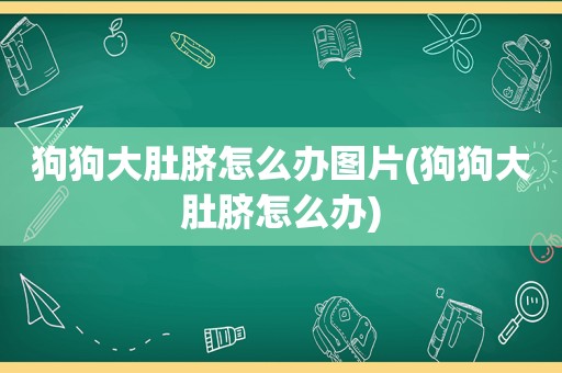 狗狗大肚脐怎么办图片(狗狗大肚脐怎么办)