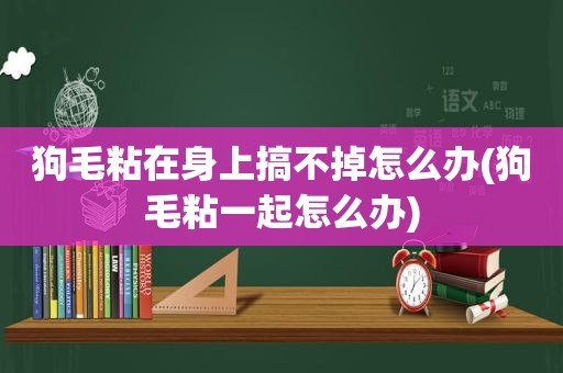 狗毛粘在身上搞不掉怎么办(狗毛粘一起怎么办)