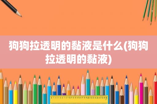 狗狗拉透明的黏液是什么(狗狗拉透明的黏液)