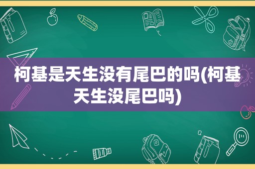 柯基是天生没有尾巴的吗(柯基天生没尾巴吗)