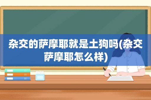 杂交的萨摩耶就是土狗吗(杂交萨摩耶怎么样)