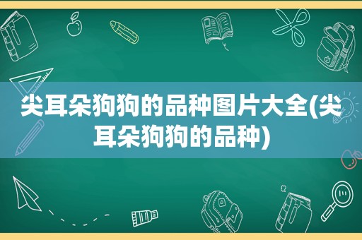 尖耳朵狗狗的品种图片大全(尖耳朵狗狗的品种)