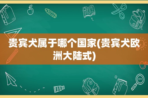 贵宾犬属于哪个国家(贵宾犬欧洲大陆式)